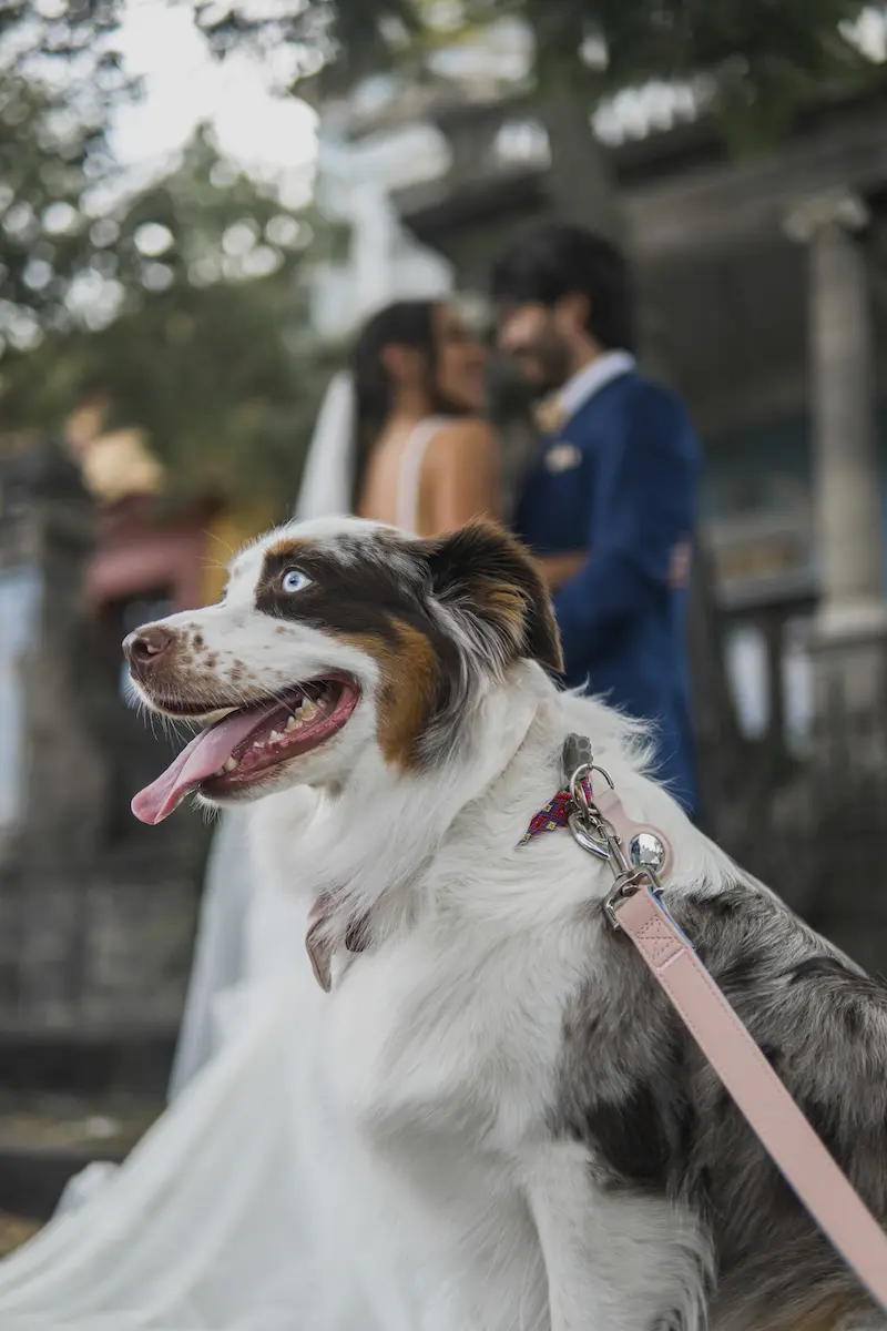 Fotografía de bodas de lujo México - Momento ceremonial